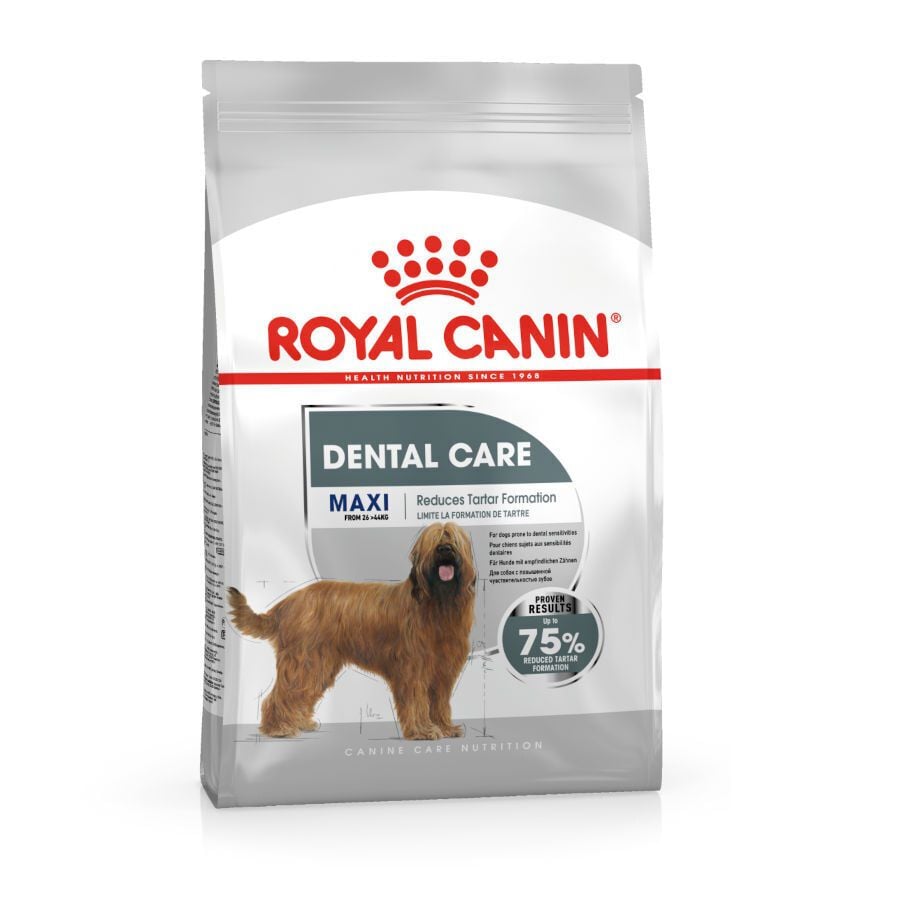9 kg Royal Canin Maxi Dental Care ra&ccedil;&atilde;o para c&atilde;es, , large Imagem n&uacute;mero 1