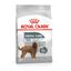 9 kg Royal Canin Maxi Dental Care ração para cães, , large Indicador imagem número 1