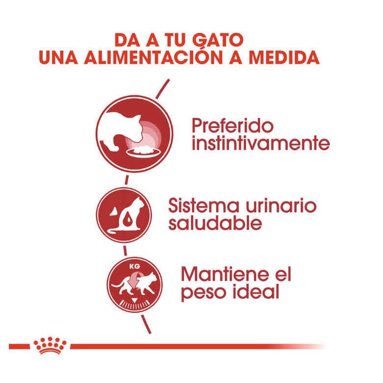 85 g Royal Canin Instinctive pat&ecirc; saqueta para gatos, , large Imagem n&uacute;mero 4