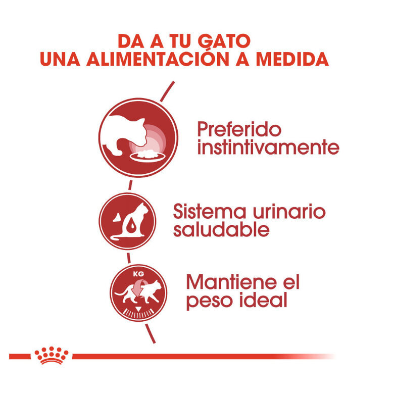 85 g Royal Canin Instinctive patê saqueta para gatos,  Imagem número 4 85 g Royal Canin Instinctive patê saqueta para gatos, , large Imagem número 4