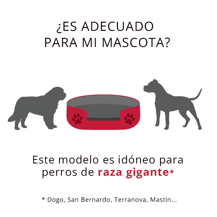 Ombala Cama Ortop&eacute;dica Borgonha para c&atilde;es, , large Imagem n&uacute;mero 2