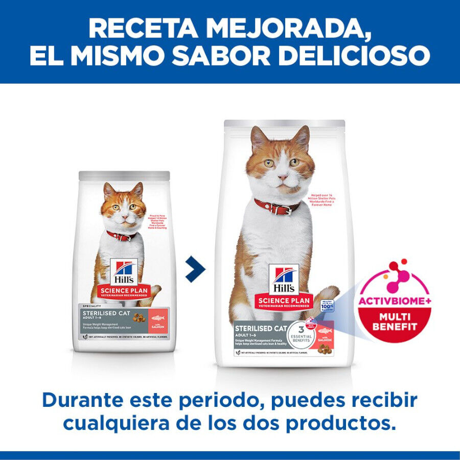 10 kg Ra&ccedil;&atilde;o Hill's Science Plan Sterilised Adult Ra&ccedil;&atilde;o de salm&atilde;o para gatos, , large Imagem n&uacute;mero 3