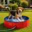 Summer Vibes Fresh Pool Piscina Vermelha para c&atilde;es, , large Indicador imagem n&uacute;mero 1