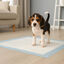 Nice Care Resguardos Premium para cães, , large Indicador imagem número 1