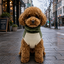 Gotoo Camisola Polar Verde para c&atilde;es, , large Indicador imagem n&uacute;mero 1