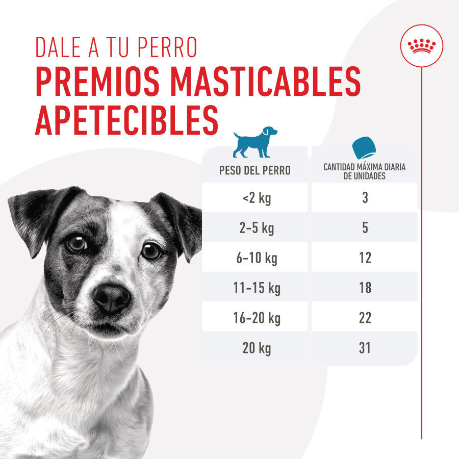 110 g Royal Canin Training snacks para c&atilde;es, , large Imagem n&uacute;mero 7