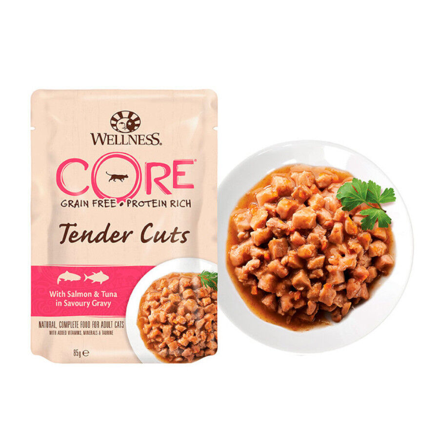  85 g Wellness Core Tender Cuts salm&atilde;o e atum em molho saquetas para gatos, , large Imagem n&uacute;mero 2
