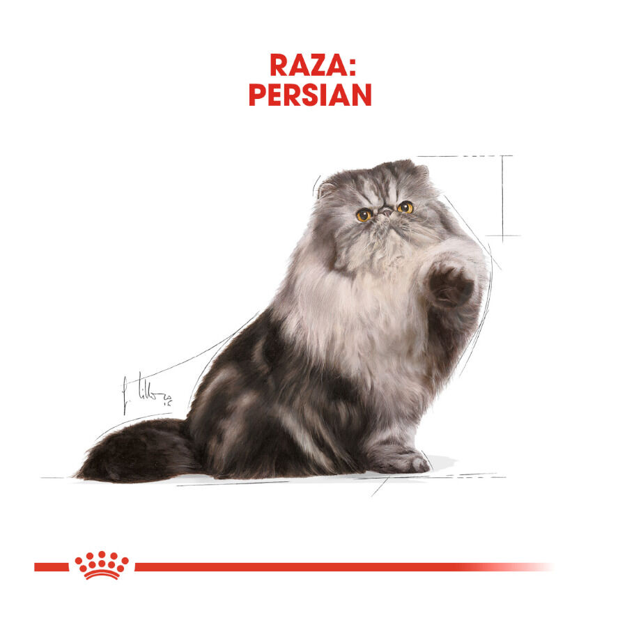 85 g Royal Canin Feline Adult Persa, , large Imagem n&uacute;mero 3