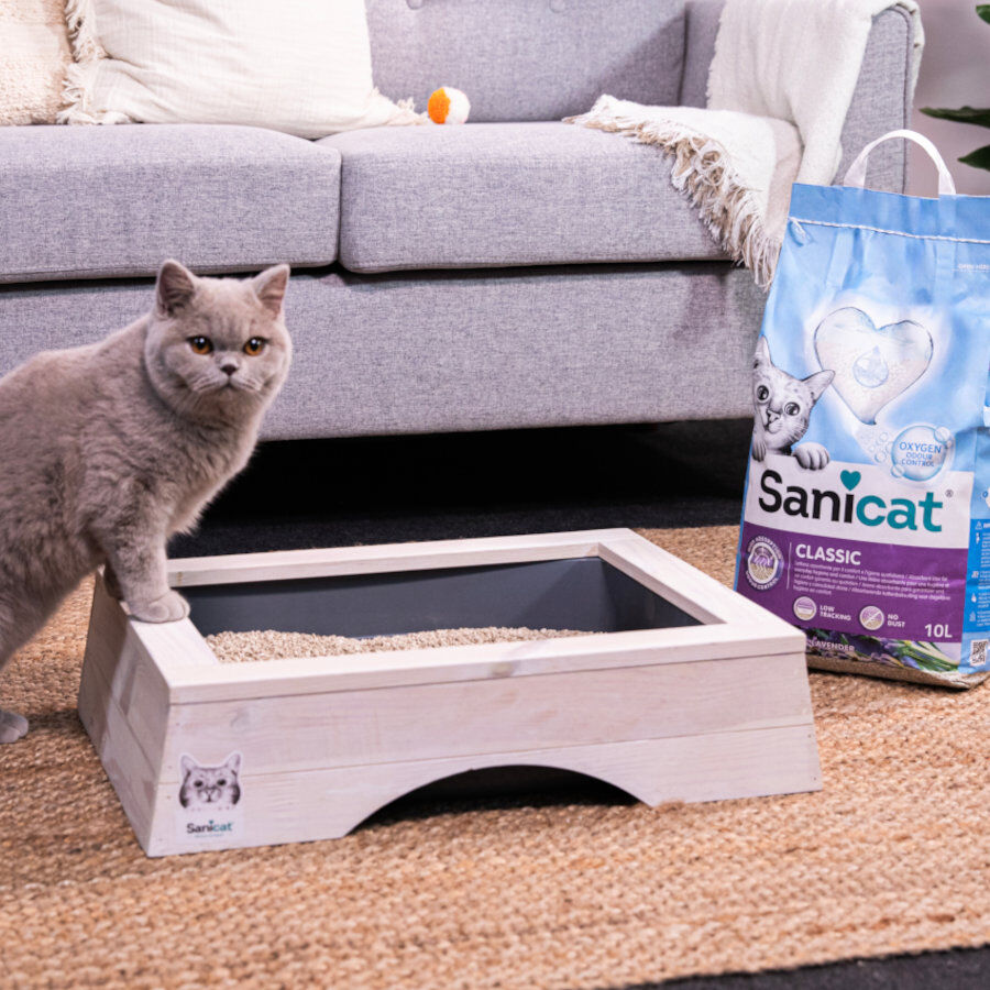 10 L Sanicat Classic Areia Absorvente Alfazema, , large Imagem n&uacute;mero 4