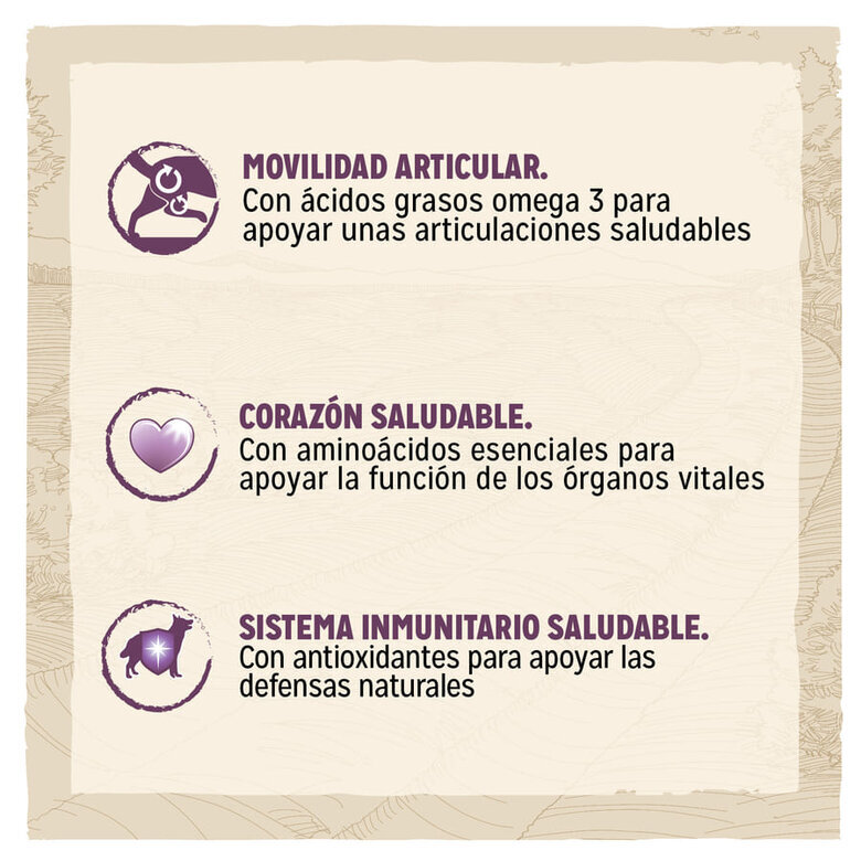 pienso_perros_dog_chow_senior_pollo_CHW12233150_M_AG23_2 Imagem número 2 Dog Chow Mature Senior Pollo pienso para perros2 Imagem número 2