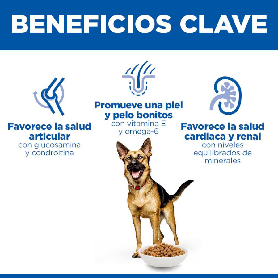 18 kg Hill's Science Plan Mature Adult Large Frango ra&ccedil;&atilde;o para c&atilde;es, , large Imagem n&uacute;mero 5