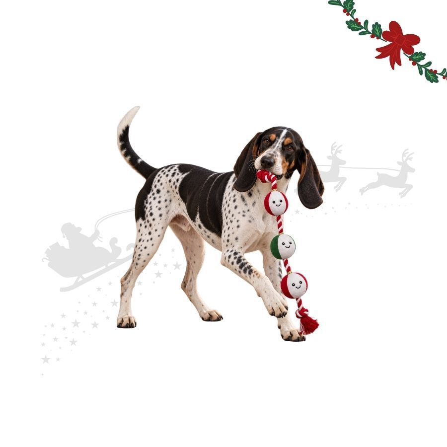 Wonder Christmas Corda e Guizo Brinquedo para c&atilde;es, , large Imagem n&uacute;mero 1