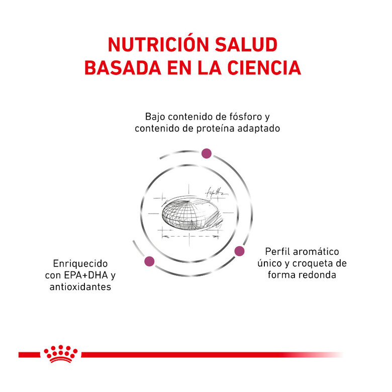 4 kg Royal Canin Veterinary Renal ração para gatos ,  Imagem número 4 4 kg Royal Canin Veterinary Renal ração para gatos , , large Imagem número 4