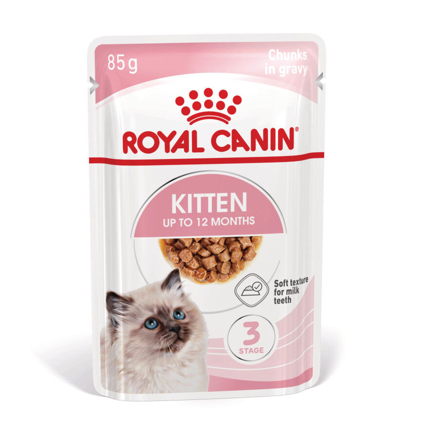 48 saquetas x 85 g Royal Canin Kitten Alimento H&uacute;mido para gatinhos Pack poupan&ccedil;a!, , large Imagem n&uacute;mero 2