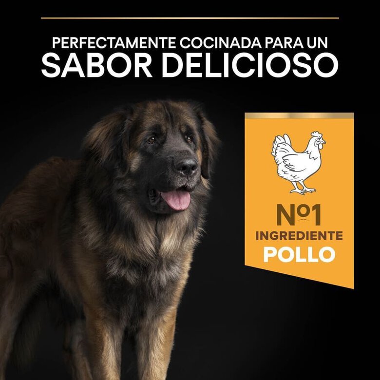 16.5 kg (14 + 2.5 kg grátis!) Pro Plan Large Robust Adult ração para cães,  Imagem número 7 16.5 kg (14 + 2.5 kg grátis!) Pro Plan Large Robust Adult ração para cães, , large Imagem número 7