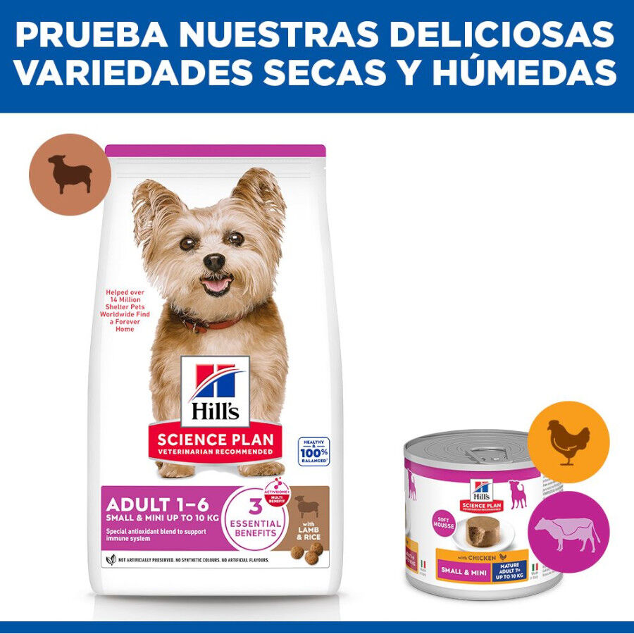1.5 kg Hills Adult Small y Mini Science Plan Cordeiro ra&ccedil;&atilde;o para c&atilde;es, , large Imagem n&uacute;mero 8