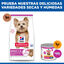 1.5 kg Hills Adult Small y Mini Science Plan Cordeiro ração para cães, , large Indicador imagem número 8