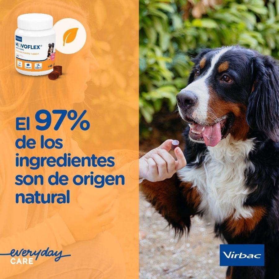 Virbac Movoflex Condroprotetor para c&atilde;es de porte m&eacute;dio, , large Imagem n&uacute;mero 9