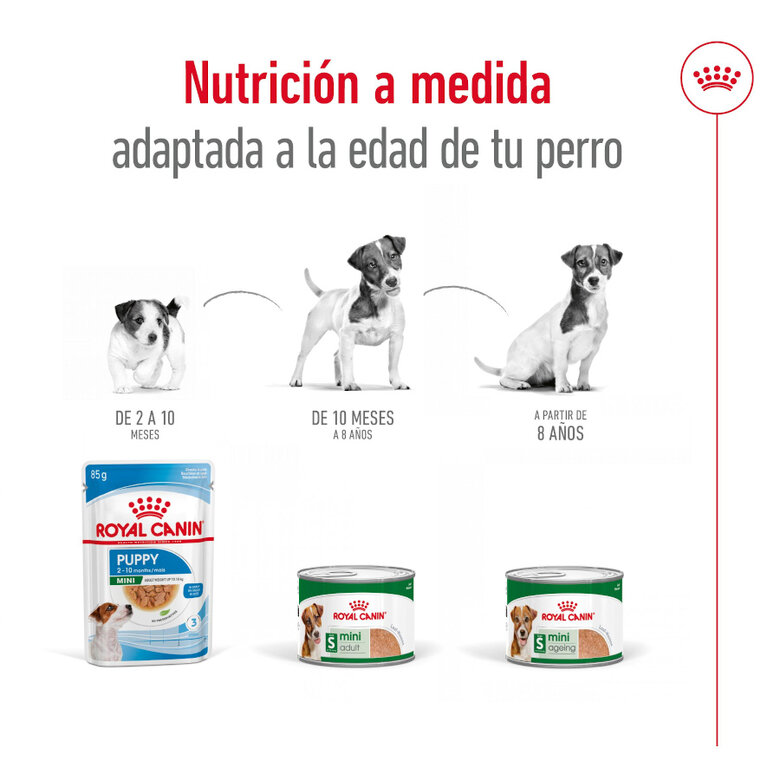 195 g Royal Canin Mini Adult Patâ em lata para cães,  Imagem número 5 195 g Royal Canin Mini Adult Patâ em lata para cães, , large Imagem número 5