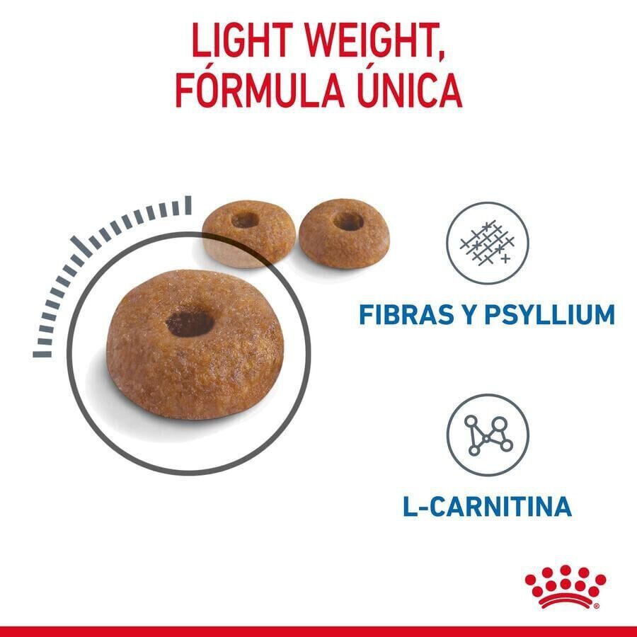 3 kg Royal Canin Adult Light Weight Care ra&ccedil;&atilde;o para gatos, , large Imagem n&uacute;mero 7