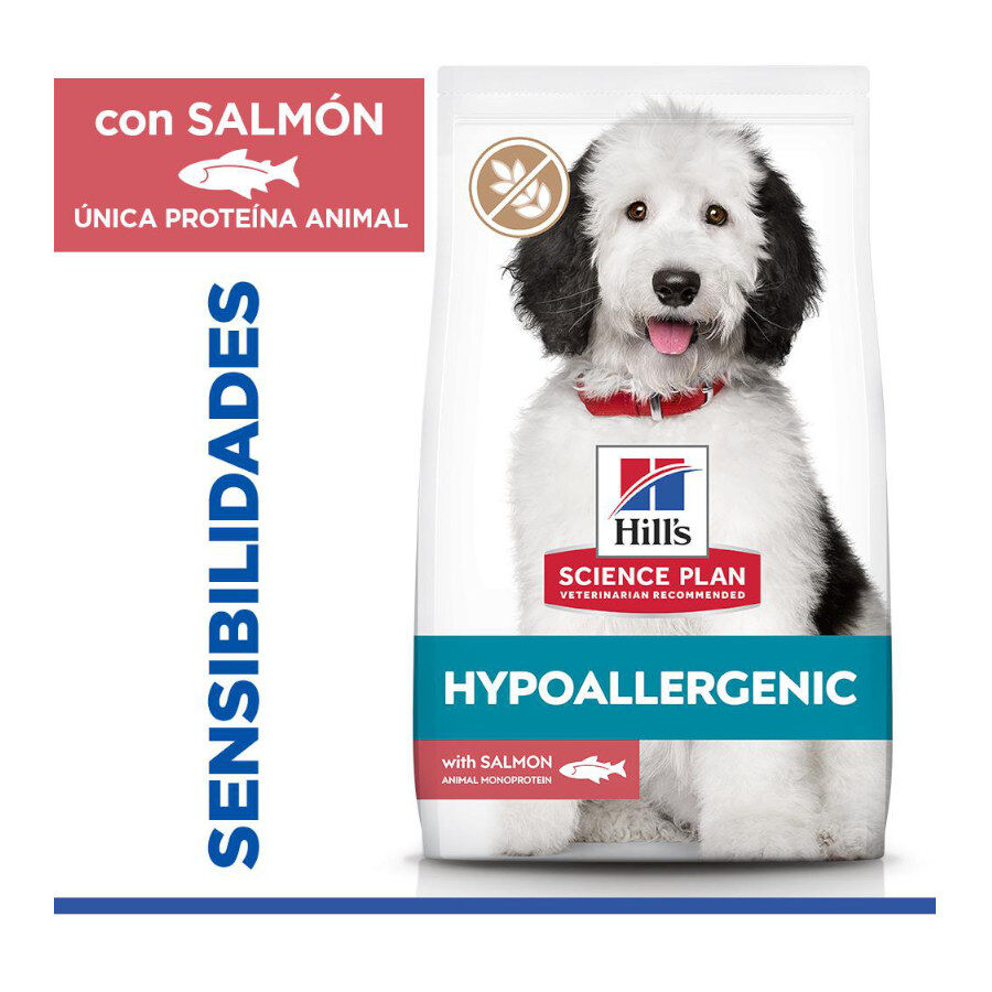 14 kg Hill's Science Plan Hipoalerg&eacute;nico Large Salm&atilde;o ra&ccedil;&atilde;o para c&atilde;es, , large Imagem n&uacute;mero 2