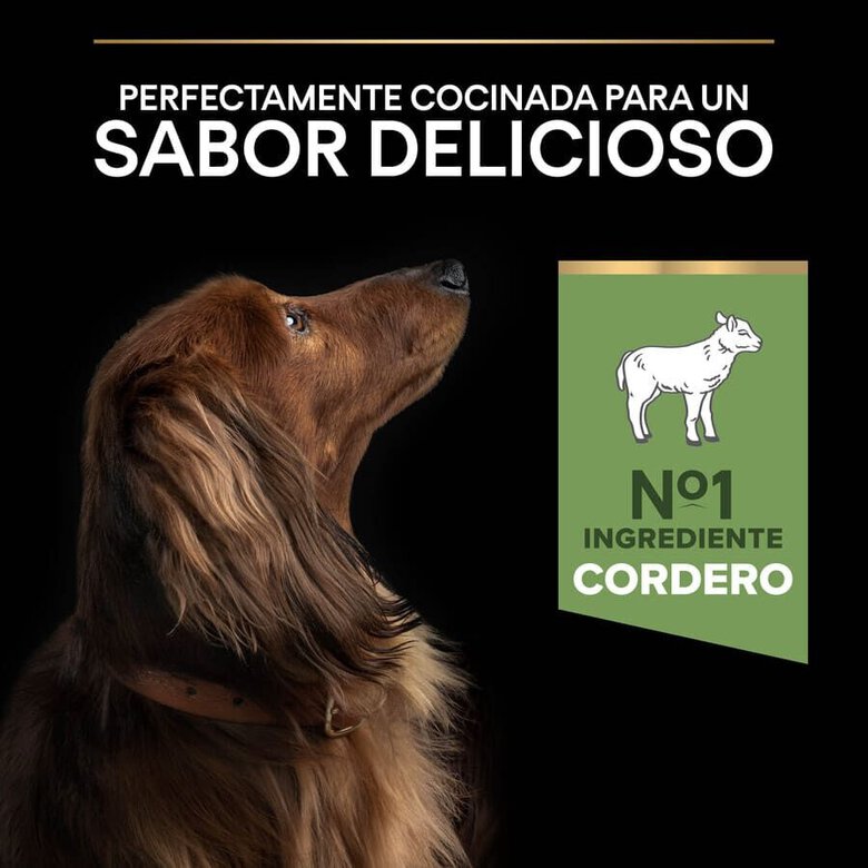 3 kg Pro Plan Adult Mini OptiDigest Cordeiro ração para cães ,  Imagem número 7 3 kg Pro Plan Adult Mini OptiDigest Cordeiro ração para cães , , large Imagem número 7