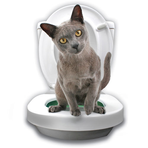 Litter Kwitter Kit WC para gato anillos iniciaci&oacute;n Imagem n&uacute;mero 1