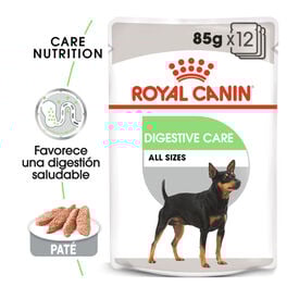 Royal Canin Digestive Care Patê em saquetas para cães