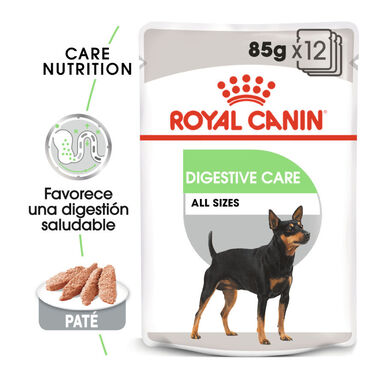 Royal Canin Digestive Care Patê em saquetas para cães