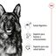 18 kg (15 + 3kg grátis!) Royal Canin Maxi Adult ração para cães, , large Indicador imagem número 5