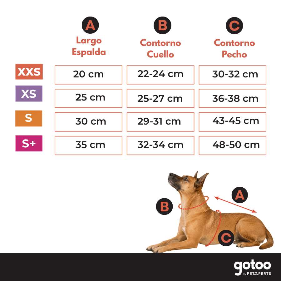 Gotoo Camisola com Padr&atilde;o de Estrelas para c&atilde;es, , large Imagem n&uacute;mero 5