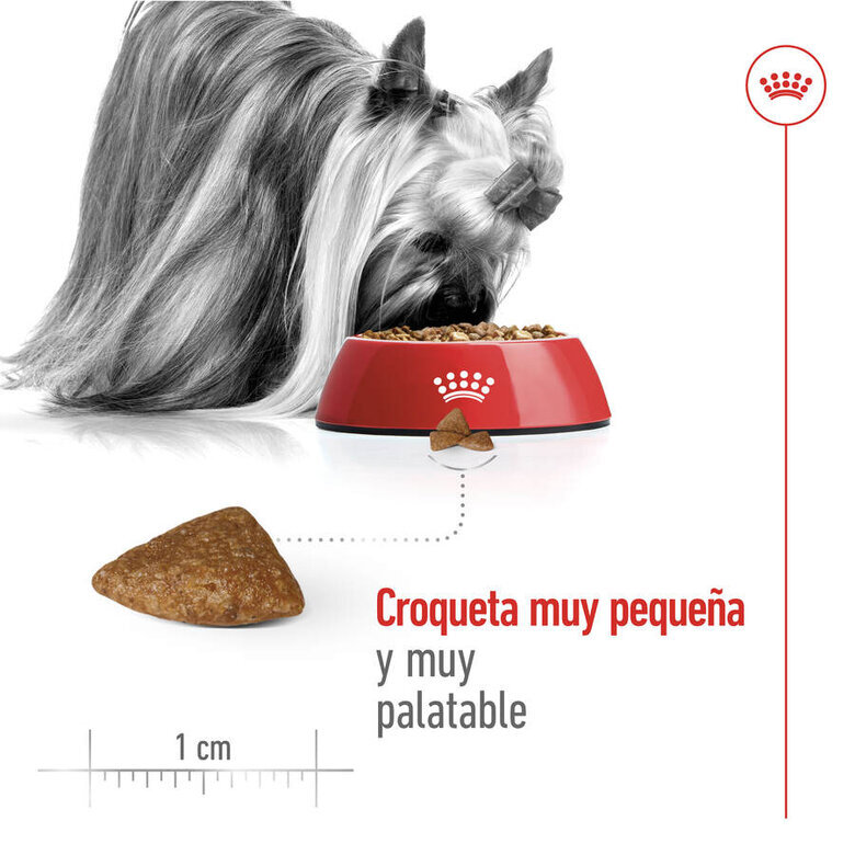 1.5 kg Royal Canin X-Small Ageing 12+ Adult ração para cães,  Imagem número 7 1.5 kg Royal Canin X-Small Ageing 12+ Adult ração para cães, , large Imagem número 7