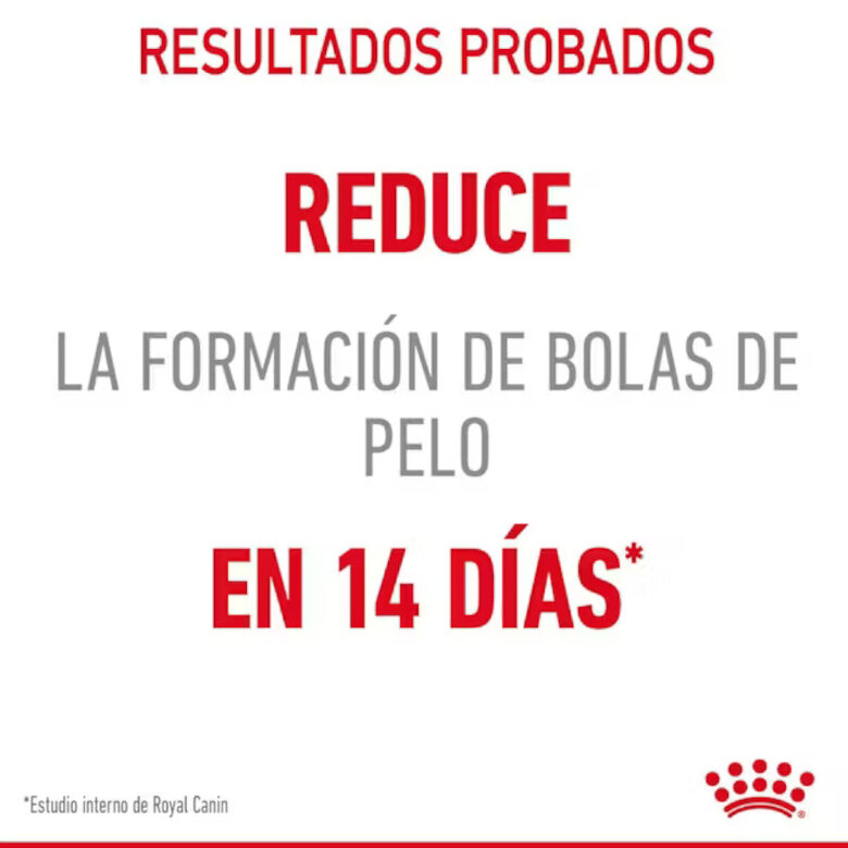 10 kg Royal Canin Intense Hairball ração para gatos,  Imagem número 6 10 kg Royal Canin Intense Hairball ração para gatos, , large Imagem número 6