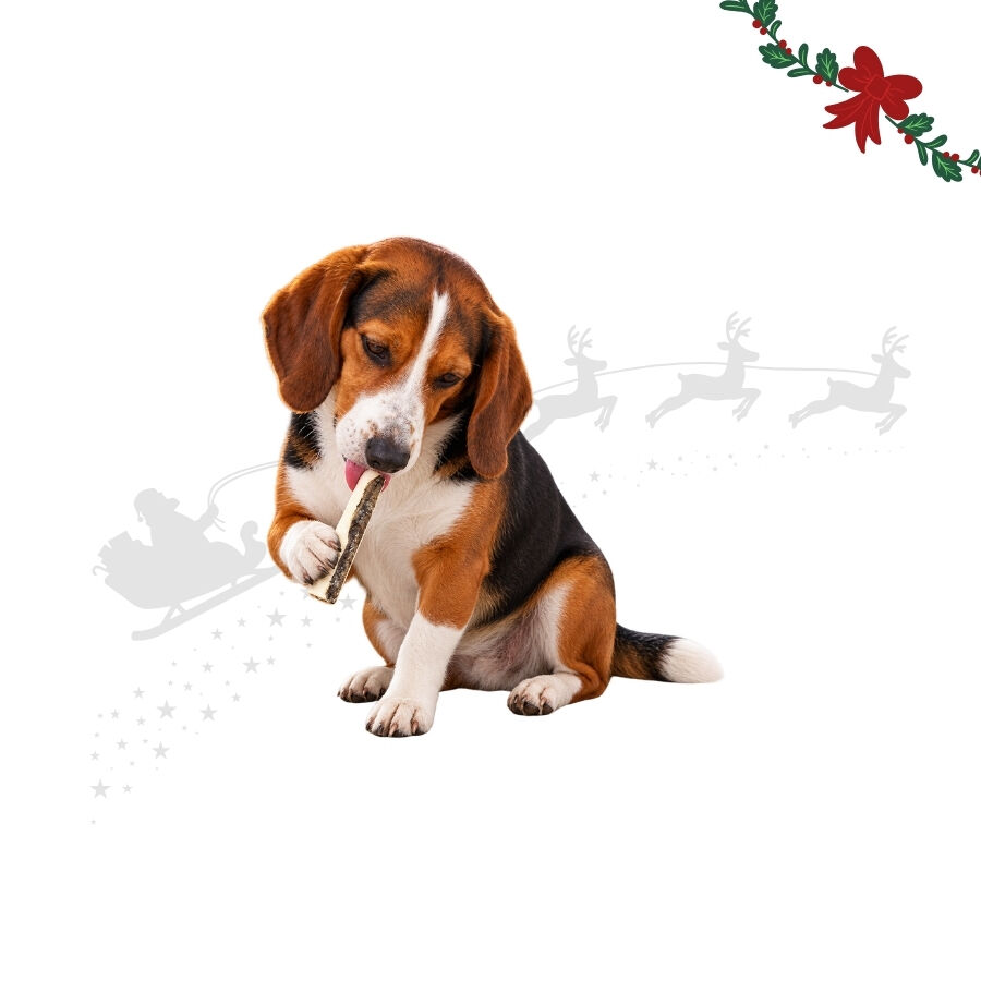 4 uns. Wonder Christmas Palitos com Peixe snacks para c&atilde;es, , large Imagem n&uacute;mero 1