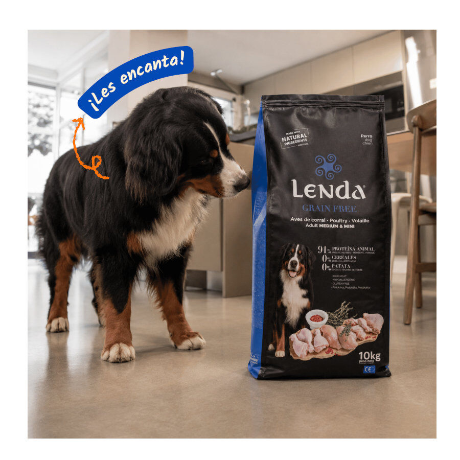10 kg Lenda Grain Free Ra&ccedil;&atilde;o de Peru e Pato para c&atilde;es, , large Imagem n&uacute;mero 6