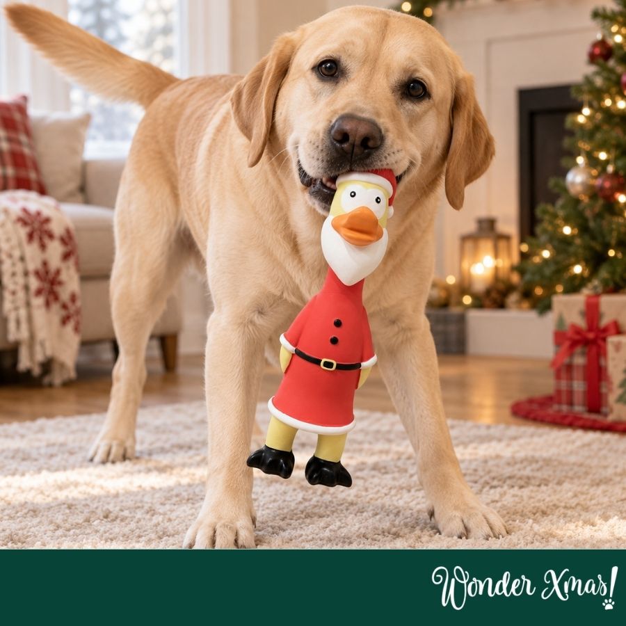 Wonder Christmas Frango L&aacute;tex Brinquedo para c&atilde;es, , large Imagem n&uacute;mero 2