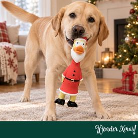 Wonder Christmas Frango L&aacute;tex Brinquedo para c&atilde;es