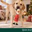 Wonder Christmas Frango L&aacute;tex Brinquedo para c&atilde;es, , large Indicador imagem n&uacute;mero 2