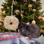 Rosewood Snack Coroa de Natal para roedores, , large Indicador imagem número 2