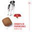 15 kg Royal Canin Junior Giant ração para cães, , large Indicador imagem número 5