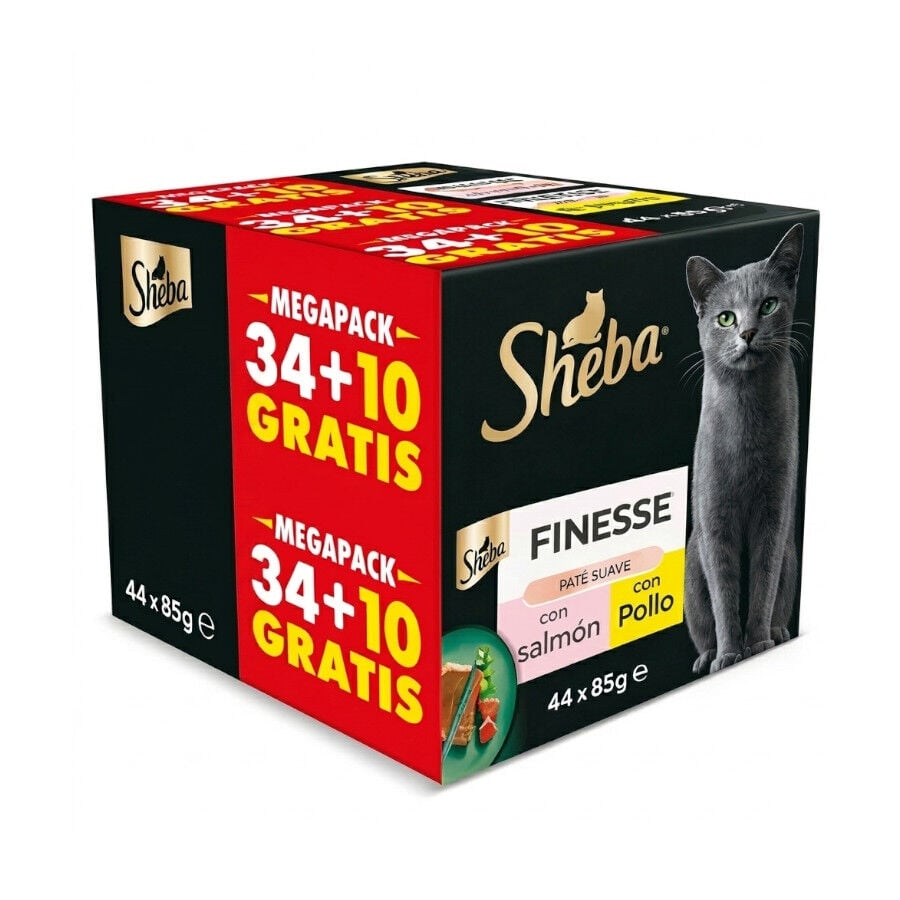 44 terrinas x 85 g Sheba Finesse Comida h&uacute;mida Pat&eacute; de Frango e Salm&atilde;o em terrina para gatos, , large Imagem n&uacute;mero 1