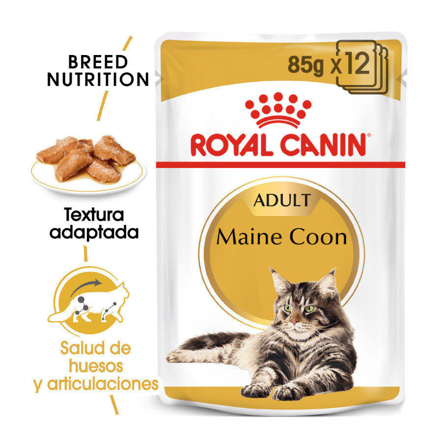 85 g Royal Canin Maine Coon alimento h&uacute;mido para gatos, , large Imagem n&uacute;mero 2