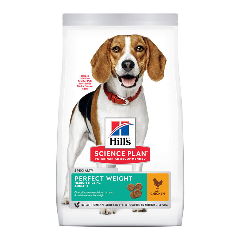 Hill's Science Plan Perfect Weight Adult Medium Frango ração para cães, , large image number null