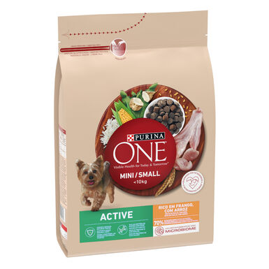 Purina One Mini Active Frango ração para cães