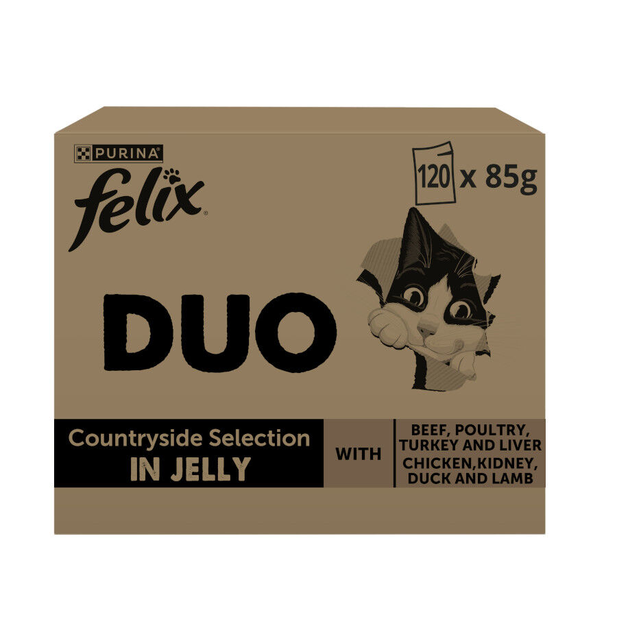 120 saquetas x 85 g Felix Duo Mix Comida h&uacute;mida de carne em gelatina para gatos, , large Imagem n&uacute;mero 1