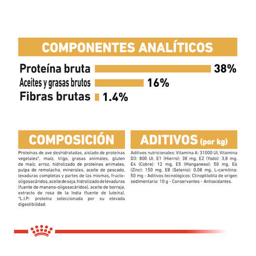 10 kg Royal Canin Adult Siam&ecirc;s ra&ccedil;&atilde;o para gatos, , large Imagem n&uacute;mero 7