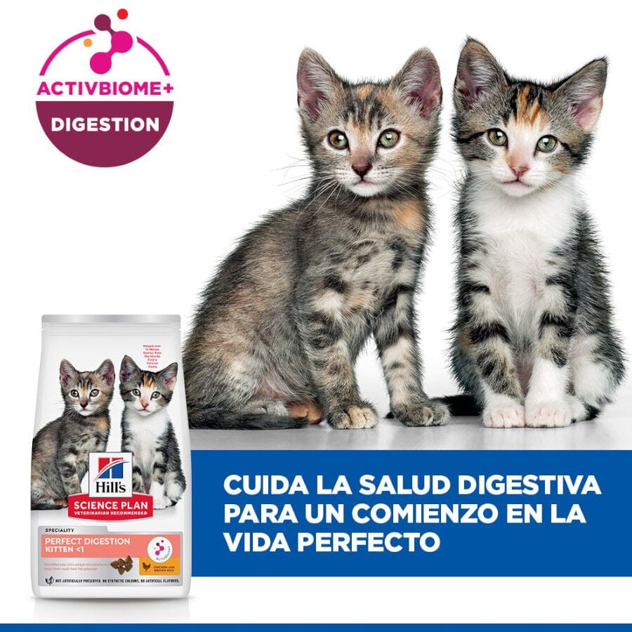 1.5 kg Hill's Kitten Science Plan Perfect Digestion Ra&ccedil;&atilde;o, , large Imagem n&uacute;mero 6