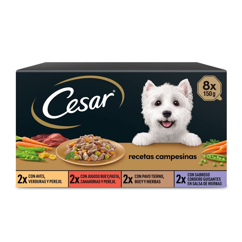 8 terrinas x 150 g Cesar Receita camponesa terrina em molho para cães - Multipack,  Imagem número 1 8 terrinas x 150 g Cesar Receita camponesa terrina em molho para cães - Multipack, , large Imagem número 1