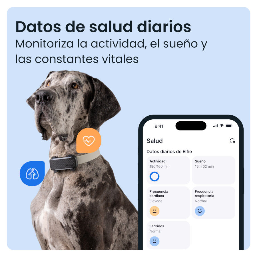 Tractive DOG 6 XL Preto GPS para c&atilde;es, , large Imagem n&uacute;mero 5