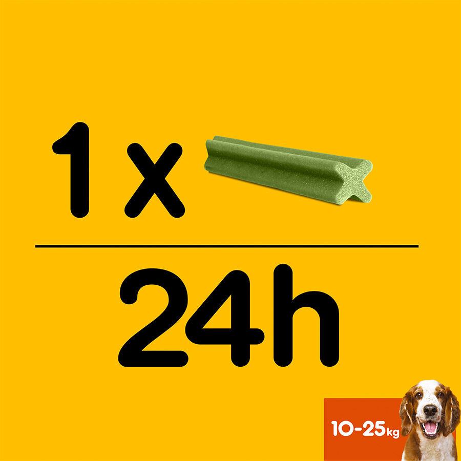 28 sticks Pedigree Dentastix Fresh Snacks Dent&aacute;rios para C&atilde;es M&eacute;dios, , large Imagem n&uacute;mero 9